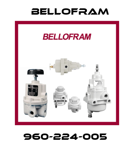 960-224-005  Bellofram