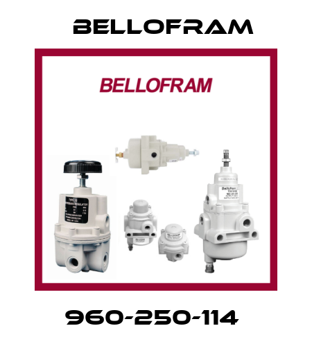 960-250-114  Bellofram