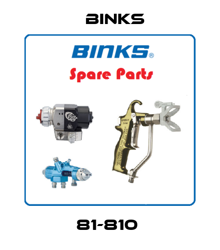 81-810  Binks