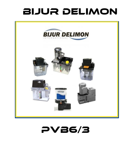PVB6/3  Bijur Delimon