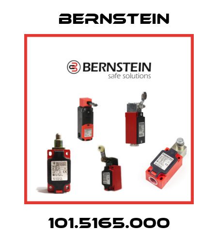 101.5165.000 Bernstein