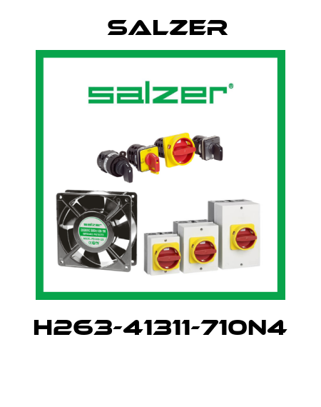 H263-41311-710N4  Salzer