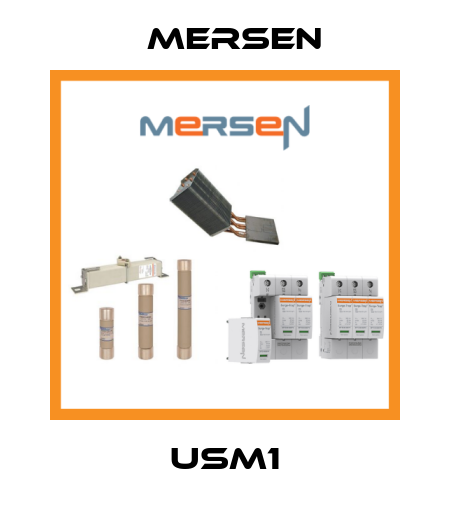 USM1 Mersen
