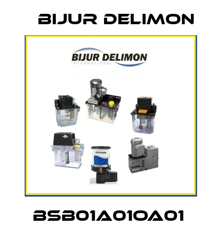 BSB01A01OA01  Bijur Delimon