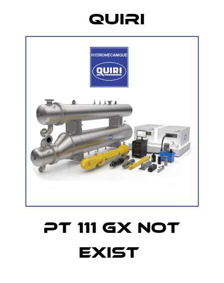 PT 111 GX not exist  Quiri