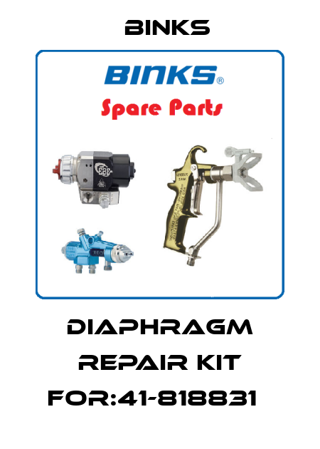 Diaphragm Repair Kit For:41-818831   Binks