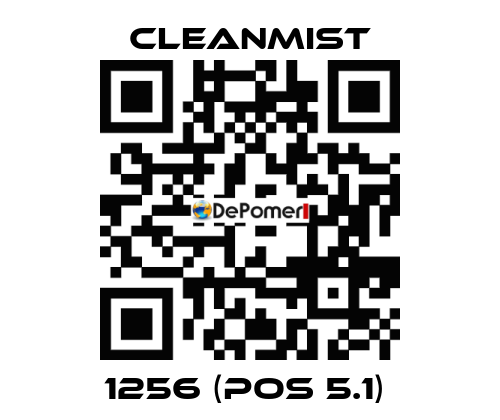 1256 (pos 5.1)  CleanMist