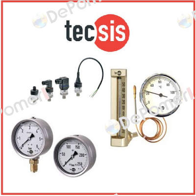 P2113B044001  Tecsis (WIKA Group)