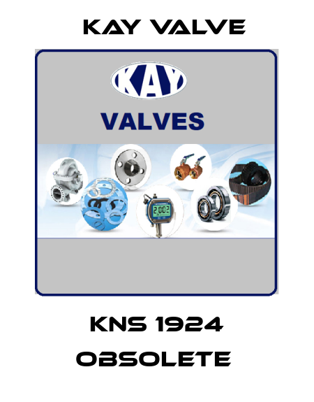 KNS 1924 obsolete  Kay Valve