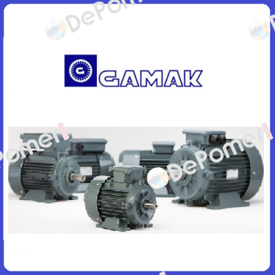 AGM2E 100 L 2 Gamak