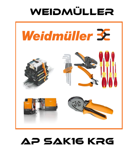 AP SAK16 KRG  Weidmüller