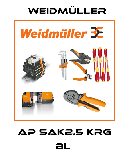 AP SAK2.5 KRG BL  Weidmüller