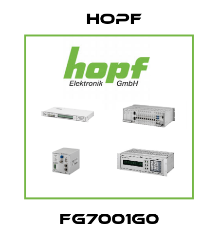 FG7001G0 Hopf