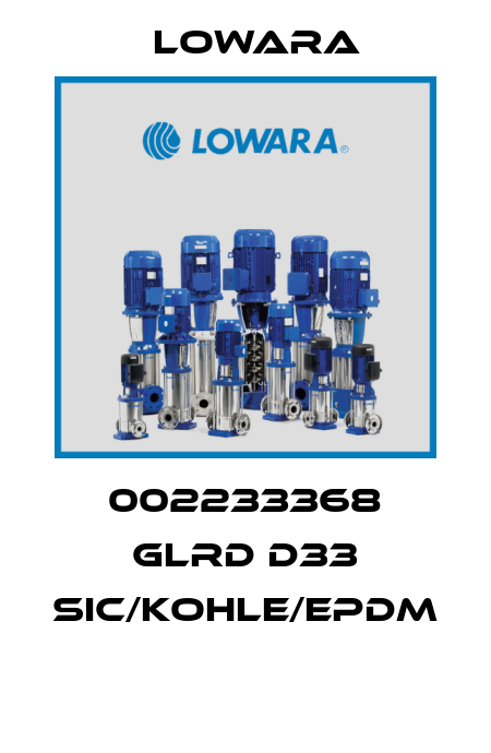 002233368 GLRD D33 SiC/Kohle/EPDM  Lowara