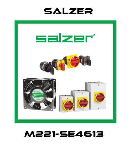 M221-SE4613  Salzer