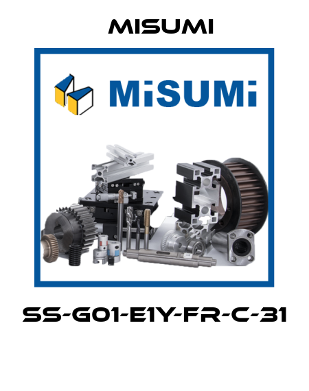 SS-G01-E1Y-FR-C-31  Misumi