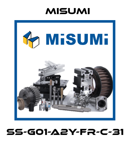 SS-G01-A2Y-FR-C-31  Misumi