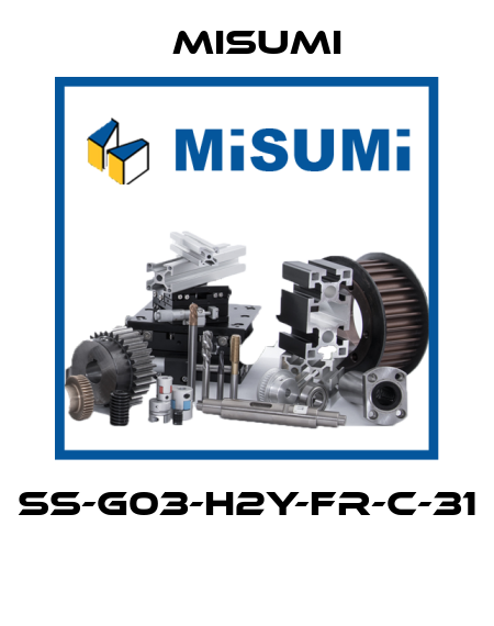 SS-G03-H2Y-FR-C-31  Misumi