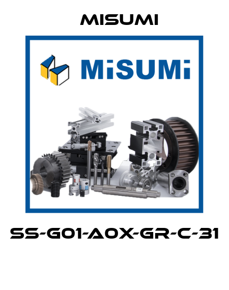 SS-G01-A0X-GR-C-31  Misumi