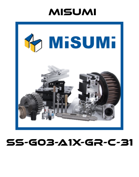SS-G03-A1X-GR-C-31  Misumi