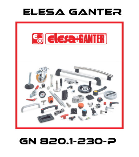 GN 820.1-230-P  Elesa Ganter
