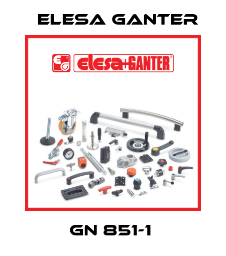 GN 851-1  Elesa Ganter