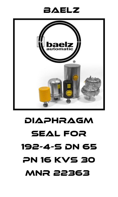 Diaphragm seal for 192-4-S DN 65 PN 16 KVS 30 MNR 22363  Baelz