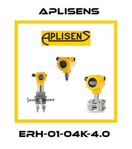 ERH-01-04K-4.0  Aplisens