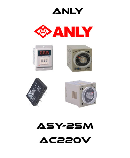ASY-2SM AC220V Anly