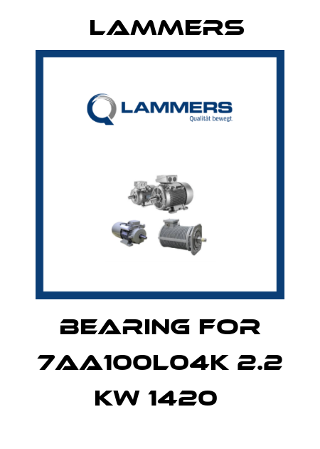BEARING FOR 7AA100L04K 2.2 KW 1420  Lammers