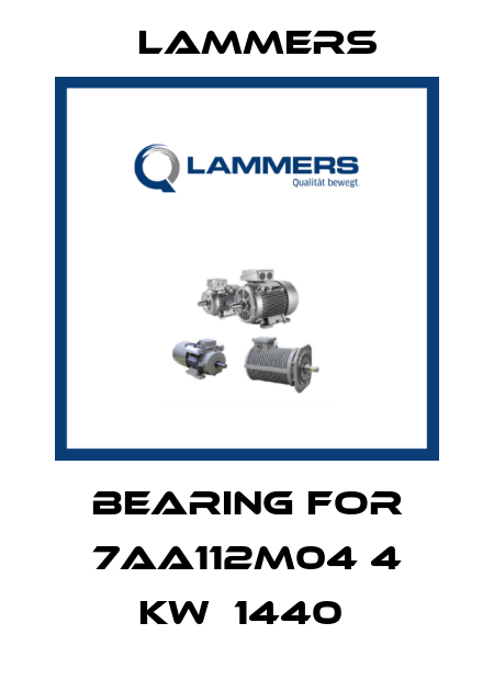 BEARING FOR 7AA112M04 4 KW  1440  Lammers