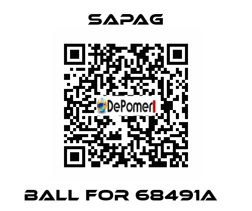 Ball for 68491A   Sapag