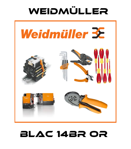 BLAC 14BR OR  Weidmüller
