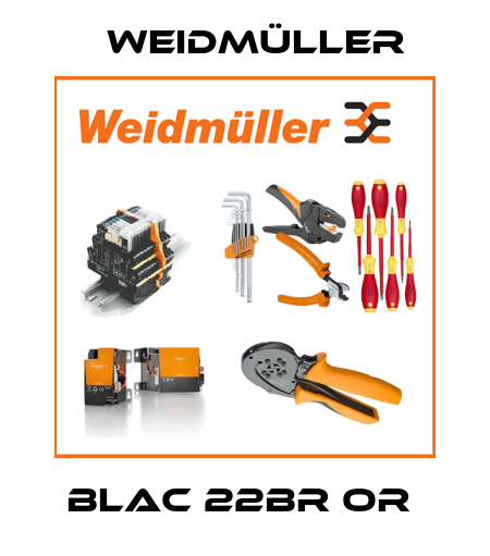 BLAC 22BR OR  Weidmüller