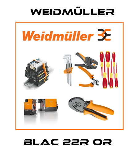 BLAC 22R OR  Weidmüller