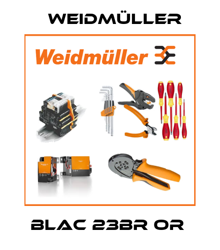 BLAC 23BR OR  Weidmüller