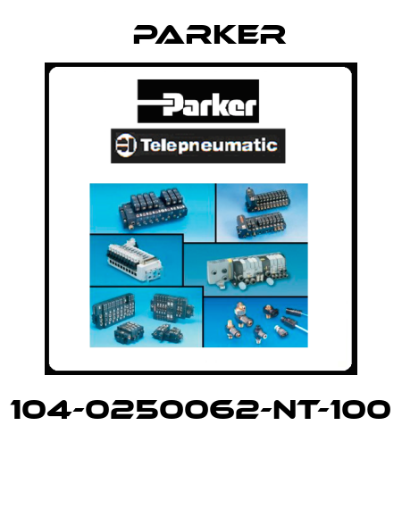 104-0250062-NT-100  Parker