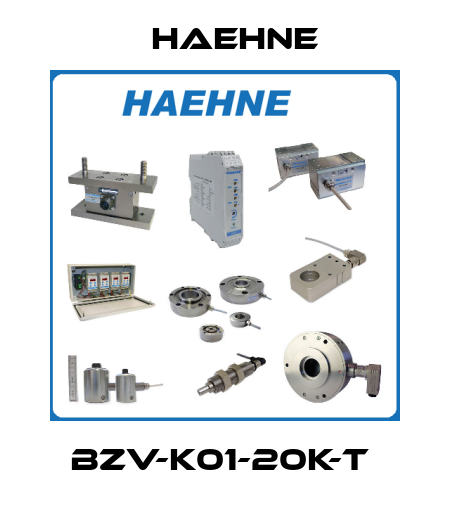 BZV-K01-20K-T  HAEHNE