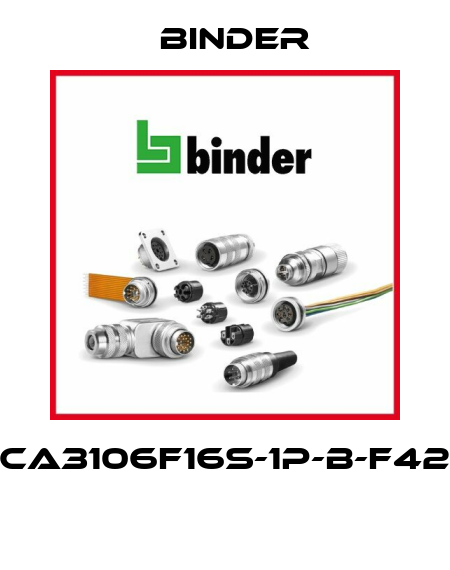 CA3106F16S-1P-B-F42  Binder