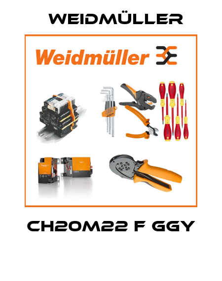 CH20M22 F GGY  Weidmüller