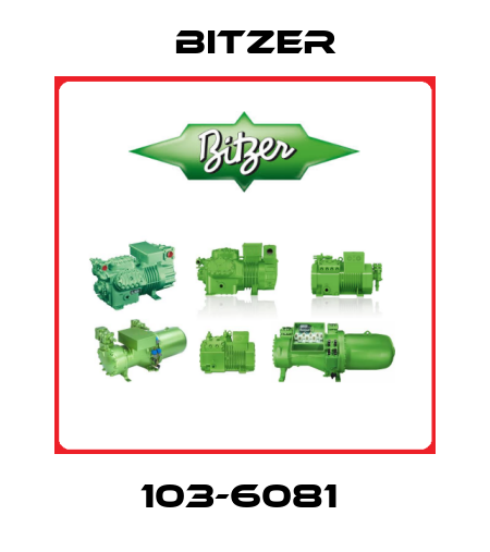 103-6081  Bitzer
