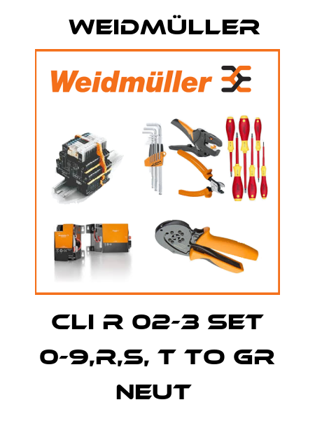 CLI R 02-3 SET 0-9,R,S, T TO GR NEUT  Weidmüller