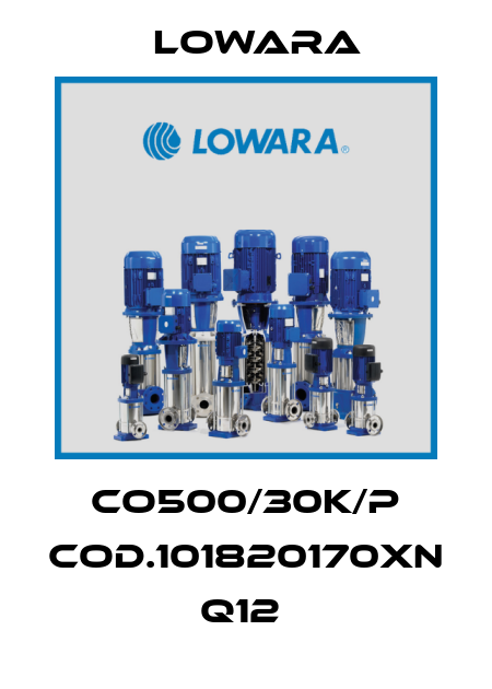 CO500/30K/P cod.101820170XN Q12  Lowara
