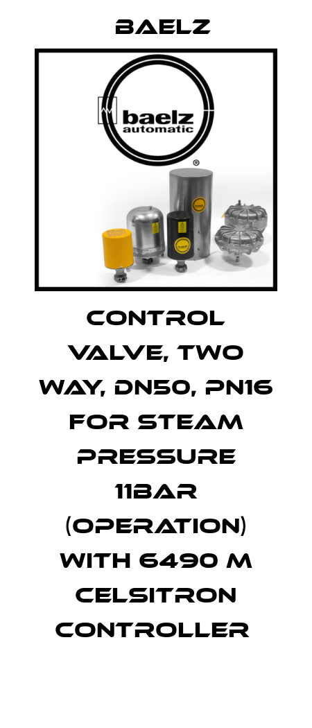 CONTROL VALVE, TWO WAY, DN50, PN16 FOR STEAM PRESSURE 11BAR (OPERATION) WITH 6490 M CELSITRON CONTROLLER  Baelz