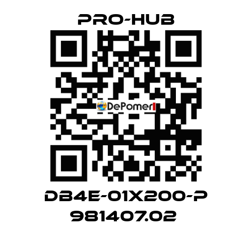 DB4E-01X200-P 981407.02  Pro-Hub