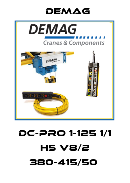 DC-Pro 1-125 1/1 H5 V8/2 380-415/50  Demag