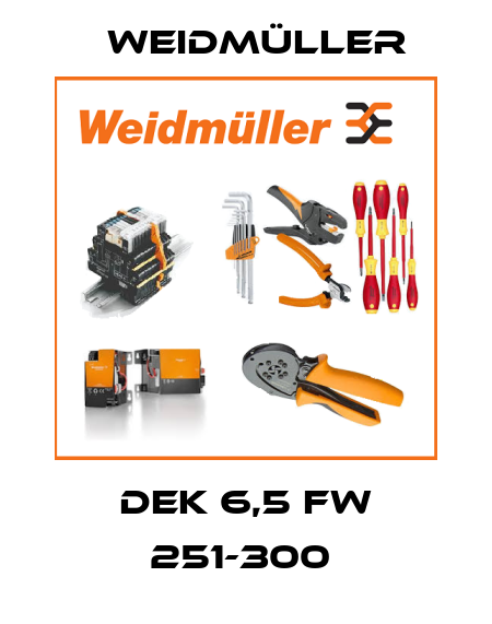 DEK 6,5 FW 251-300  Weidmüller
