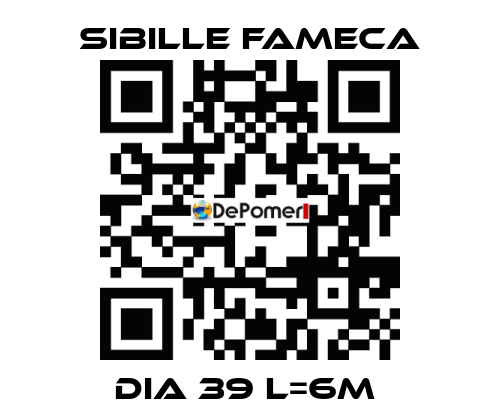 DIA 39 L=6M  Sibille Fameca