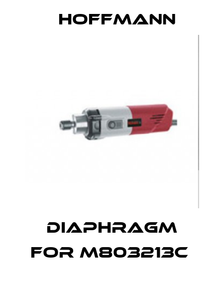 DIAPHRAGM FOR M803213C  Hoffmann