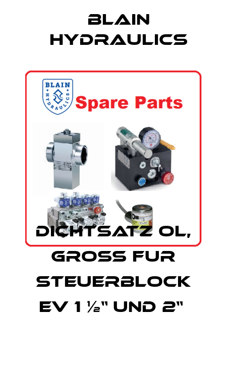 DICHTSATZ OL, GROß FUR STEUERBLOCK EV 1 ½“ UND 2“  Blain Hydraulics